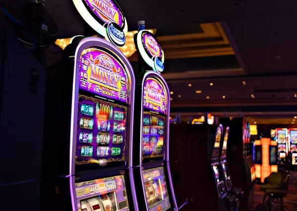 sport bet Live Casino